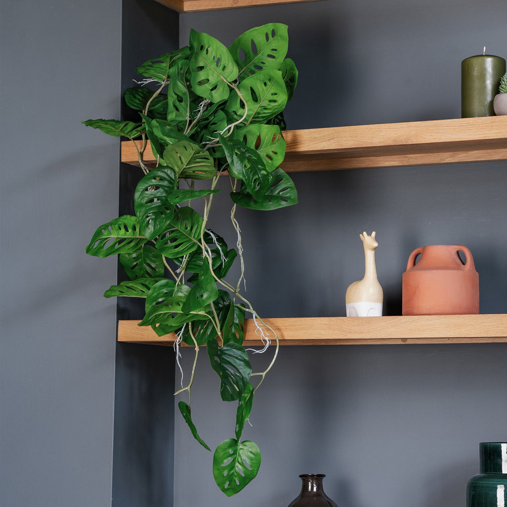Wooden shelves with a green plant, ceramic items, and a dark gray wall.