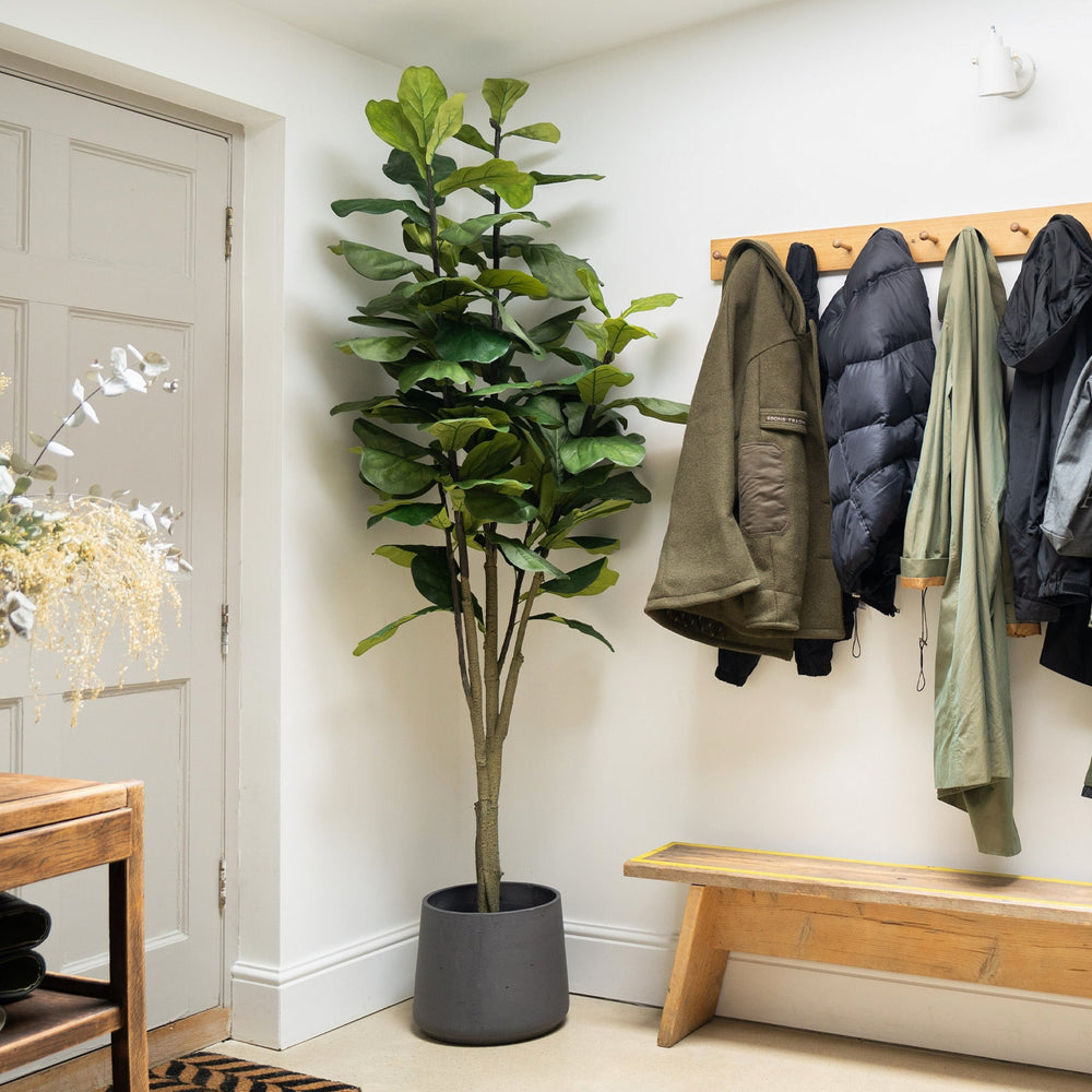 Entryway with coats hanging on a rack, a plant, and a wooden bench.
