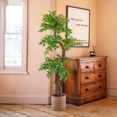 Wooden dresser with a potted plant and framed artwork in a room with wooden flooring.