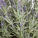 Artificial lavender patio planter foliage