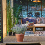 Outdoor decking with a potted plant and decorative seating area.