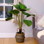 Living room with a plant on a wooden floor and a gray sofa with cushions.