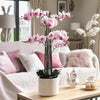 Living room with pink orchids on a coffee table, white sofa, and large windows.