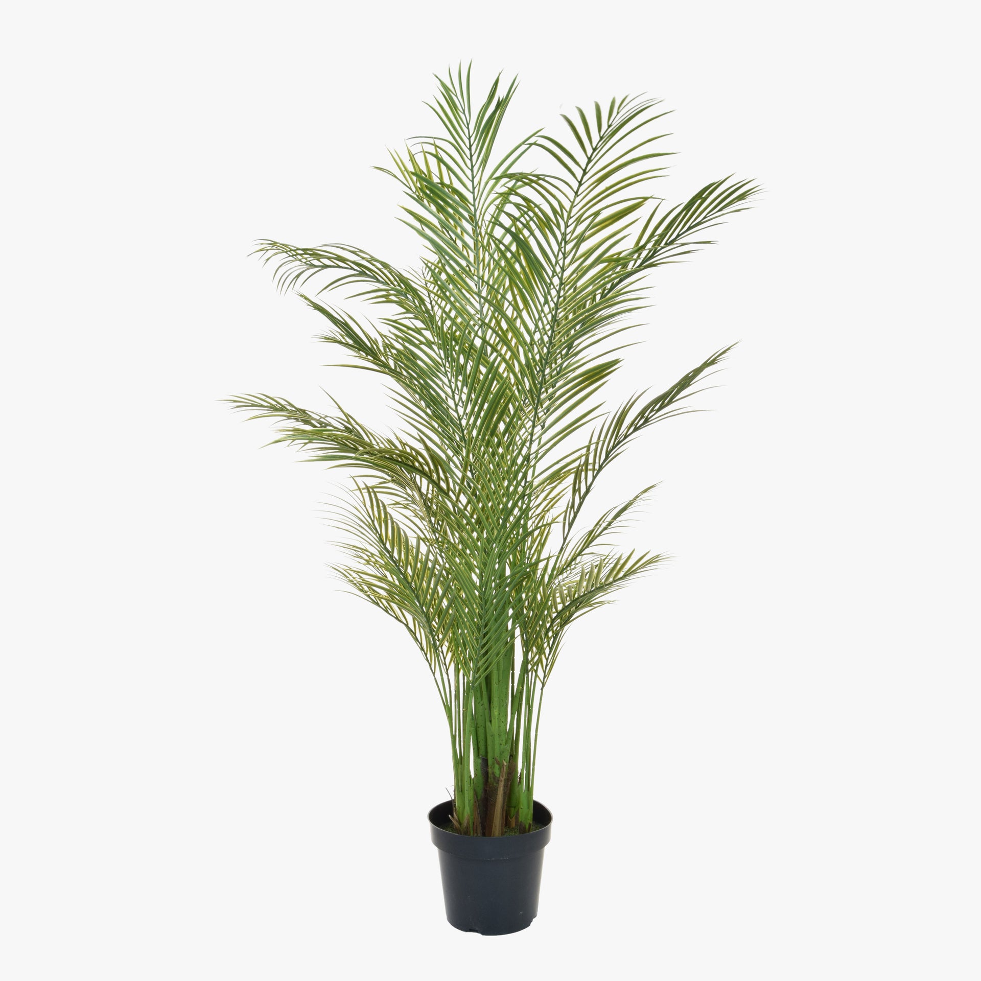 madagascan areca palm Fire Rated Artificial Madagascan Palm