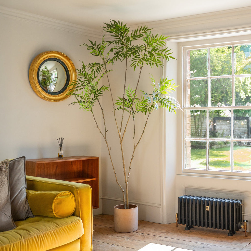 Living room with yellow sofa, plant, and radiator