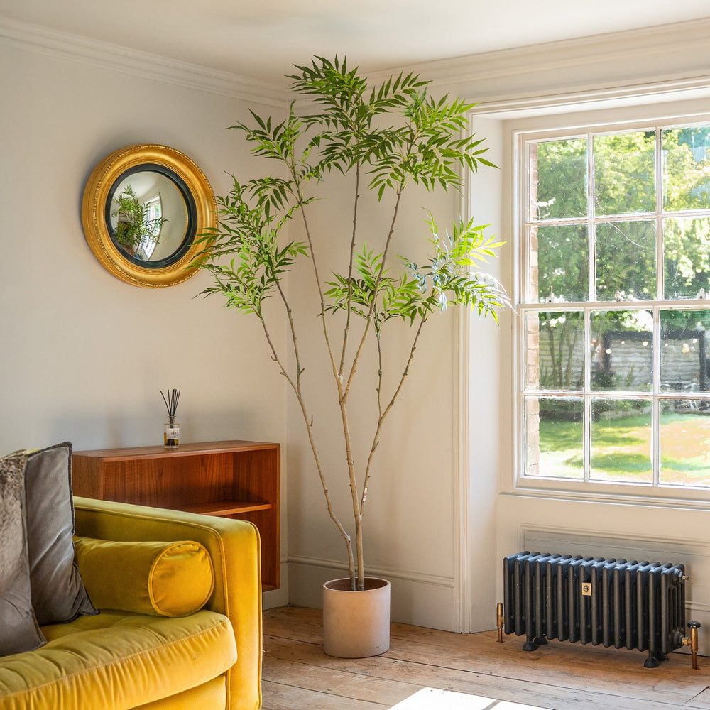 Living room with yellow sofa, plant, and radiator