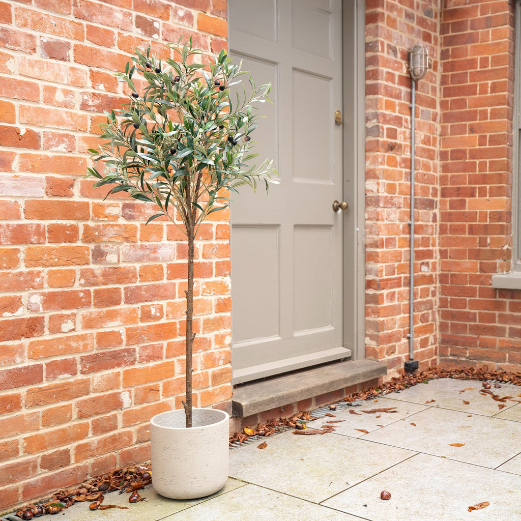 Potted plant in front of a brick building with a door and window.