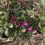 Artificial midnight falls hanging basket leaves