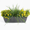 Artificial yellow morning sunshine window box
