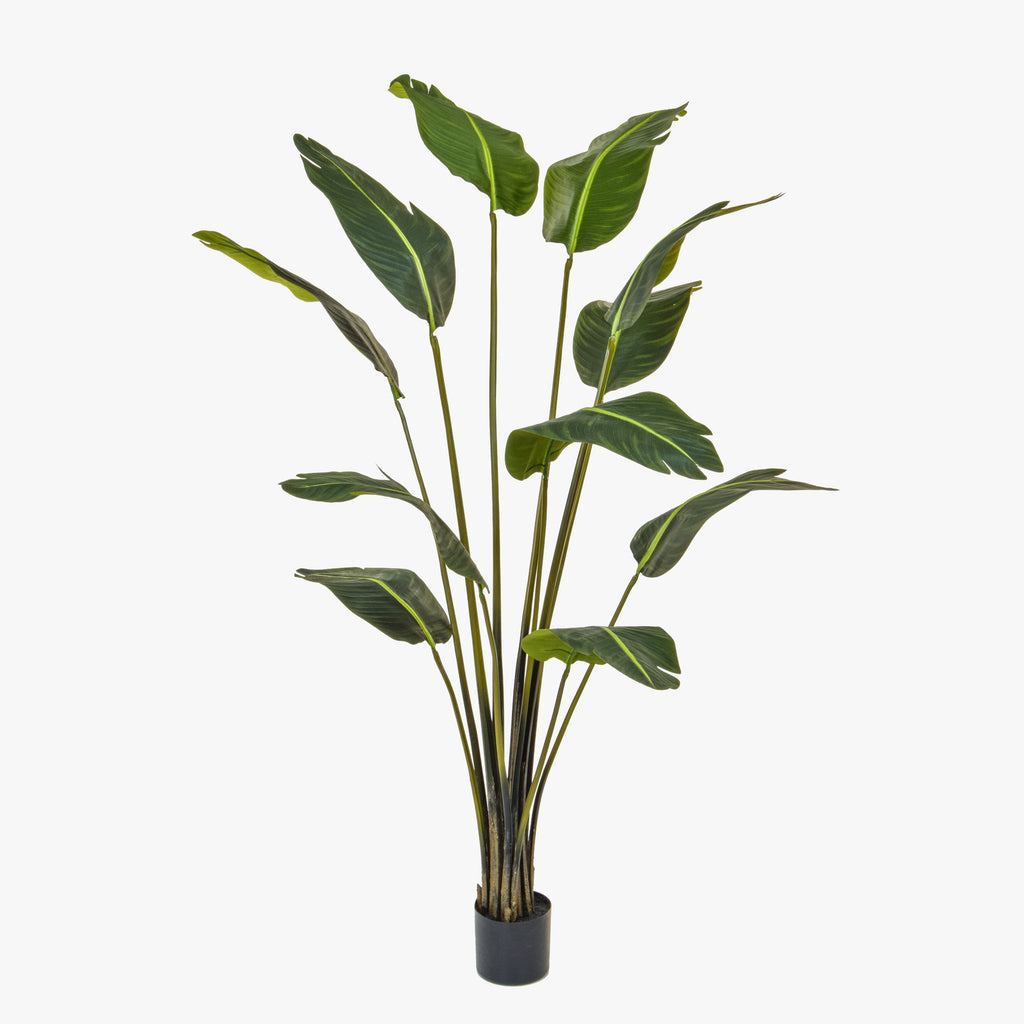 Artificial potted plant with green leaves on a white background