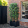 Tall green plant in a black planter against a brick wall with a window.
