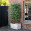 Artificial bamboo plant in a white planter against a brick wall.