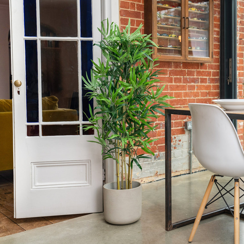 Modern interior with a potted plant, white door, and dining area.