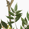 Artificial oriental lacquer tree leaves