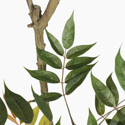 Artificial oriental lacquer tree leaves