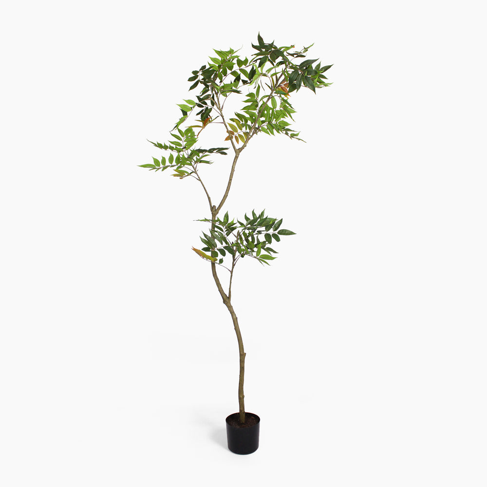 Artificial oriental lacquer tree 