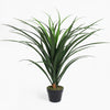 Artificial pandanus plant