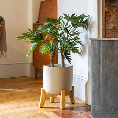 Potted plant on a wooden stand in a room with a fireplace and wooden floor.