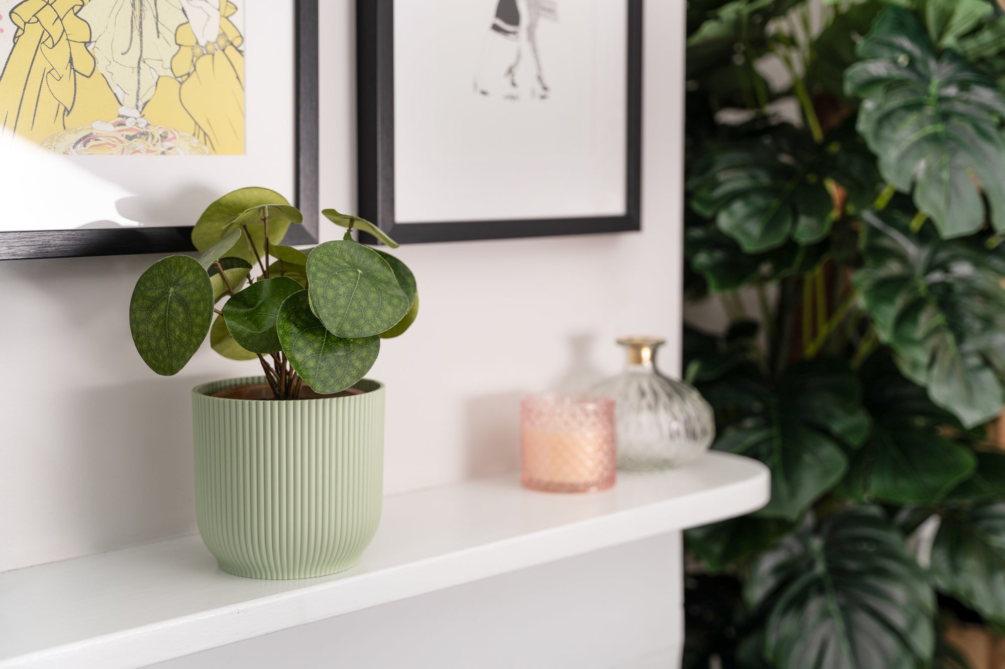 Potted plant on a white shelf with decorative items and framed art in the background