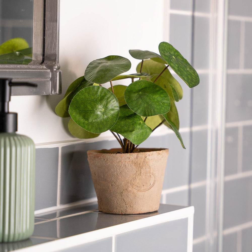 Green bottle and potted plant on a bathroom shelf with tiled wall background