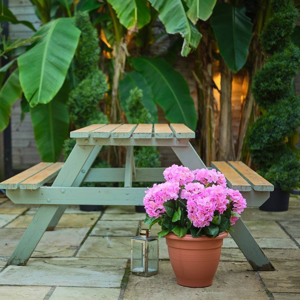 Hydrangea patio planter