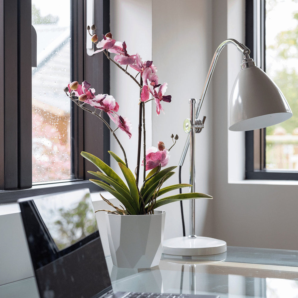 Laptop on a desk with a potted orchid and a lamp in a bright room with large windows.