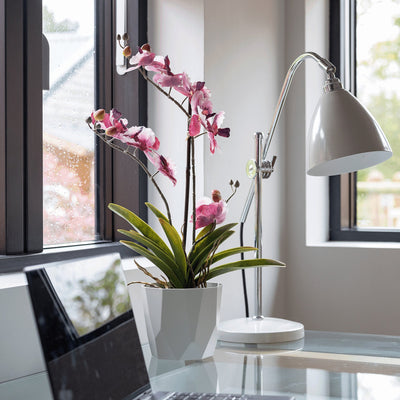 Laptop on a desk with a potted orchid and a lamp in a bright room with large windows.