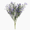 Bouquet of purple flowers on a white background