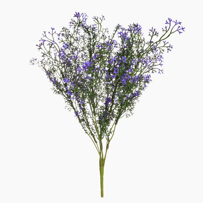Bouquet of purple flowers on a white background
