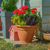 Potted plants and flowers in front of a wooden shed