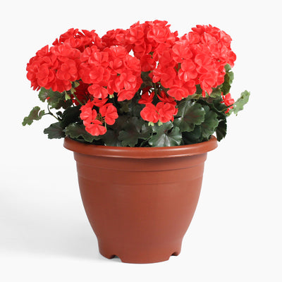Artificial red geranium patio flower planter arrangement