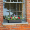 Window box with flowers on a brick window sill