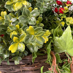 Artificial red rose ivy hanging basket foliage