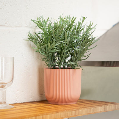 Potted plant on a wooden shelf with glasses and decorative items.