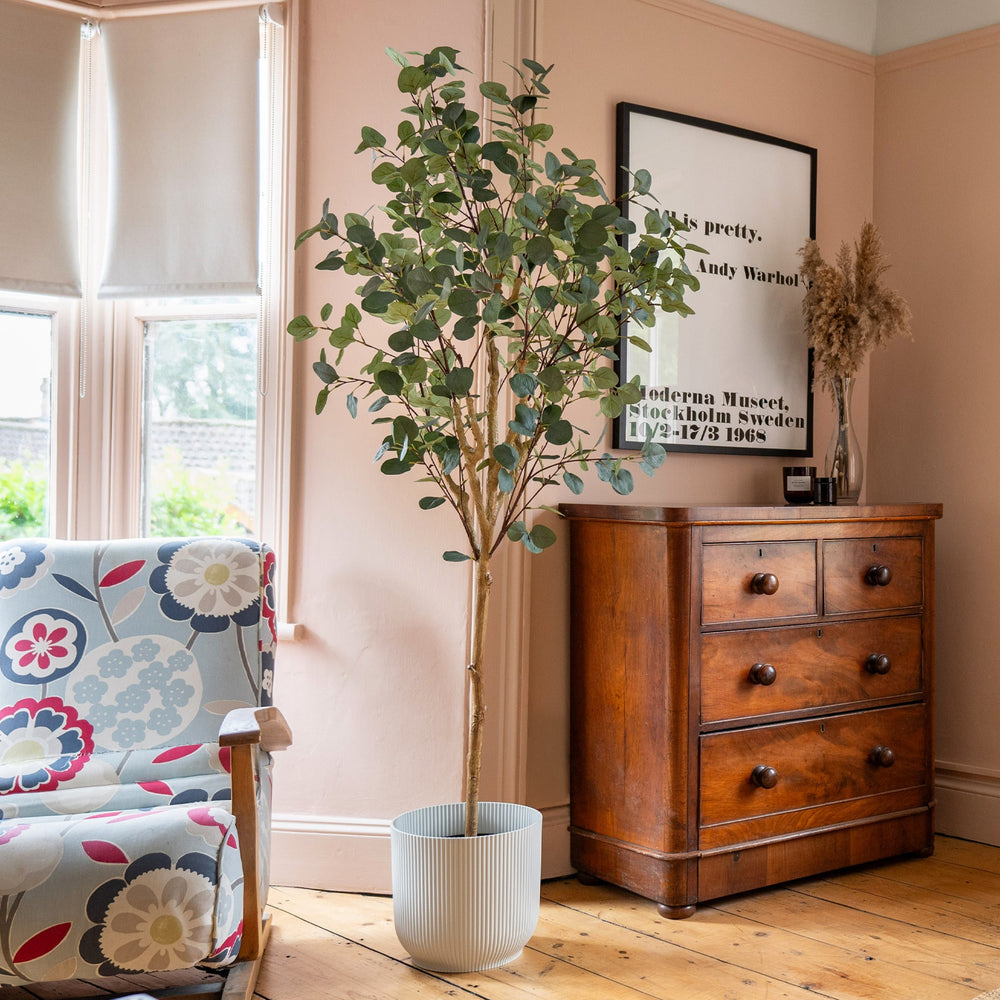 Room interior with wooden dresser, floral armchair, and potted plant.