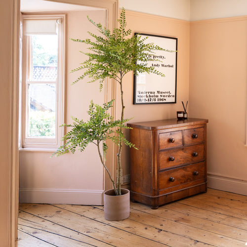 Wooden dresser with a plant and framed picture in a room with wooden flooring and a window.