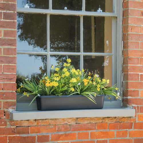 Window box with yellow flowers on a brick wall