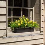 Window box with yellow flowers on a wooden porch