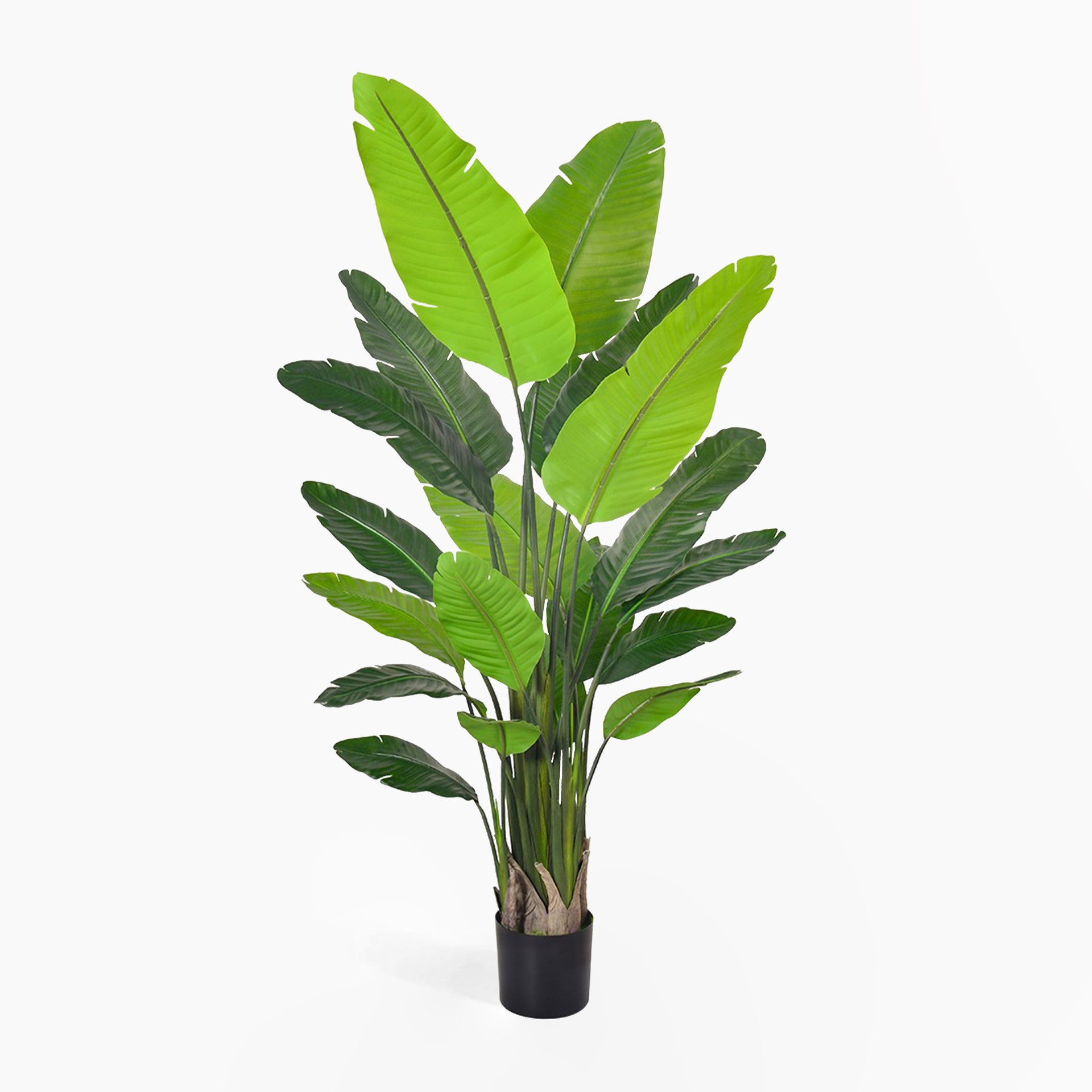 Artificial Strelitzia Nicolai