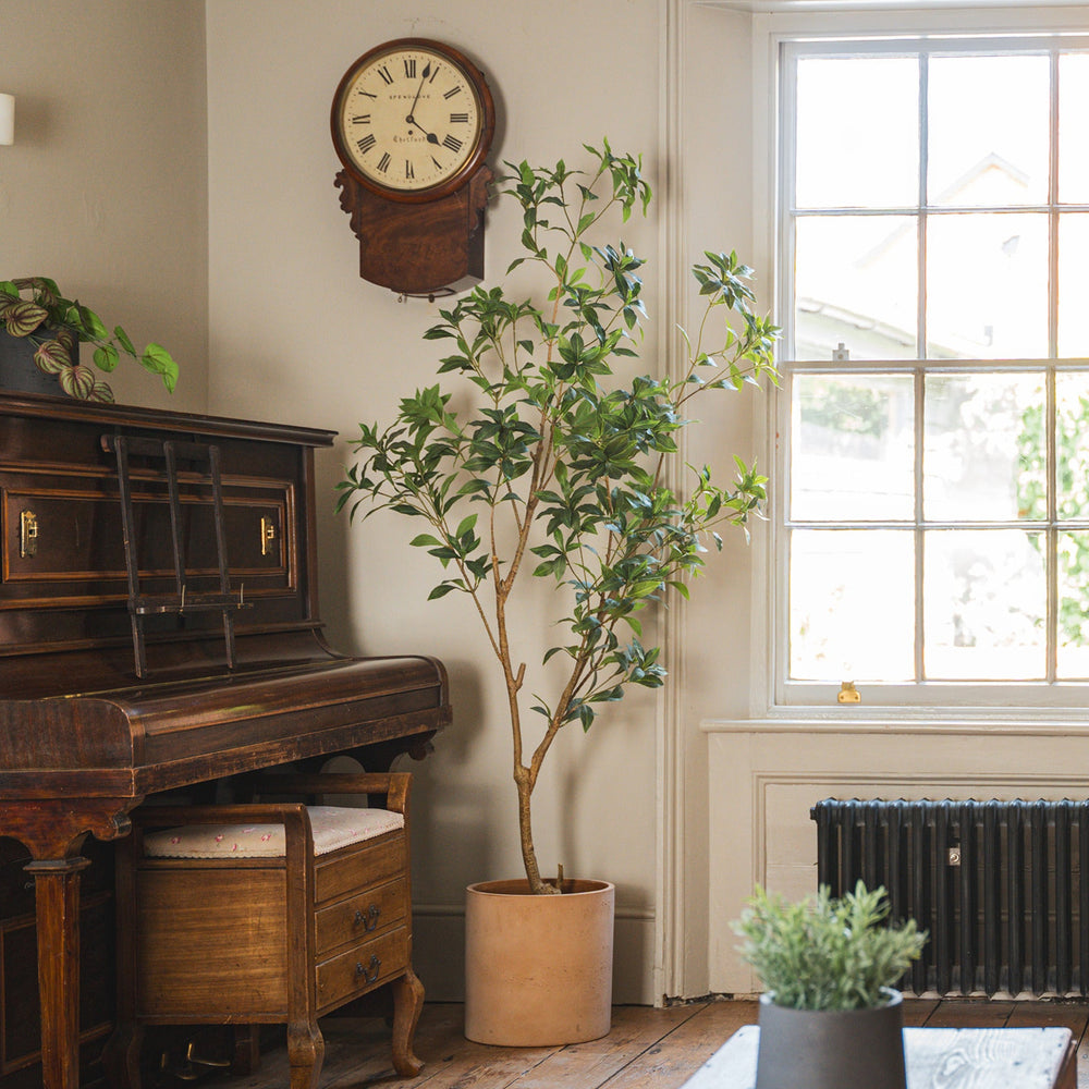 Room with a piano, potted plant, and window