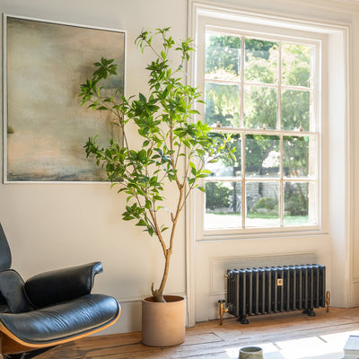 Modern living room with a plant, black radiator, and yellow chair.