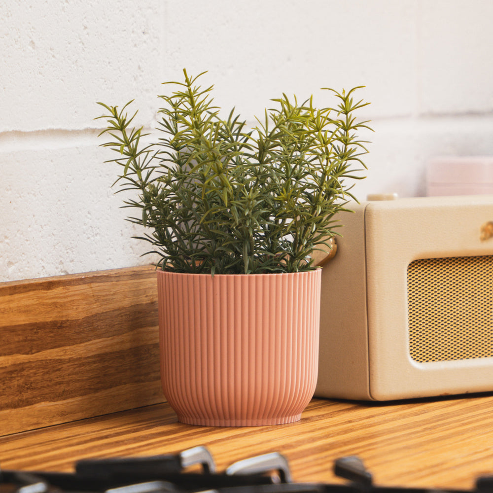 Artificial thyme herb plant in pink pot in kitchen