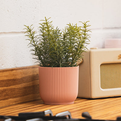 Artificial thyme herb plant in pink pot in kitchen