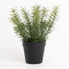 Artificial thyme plant