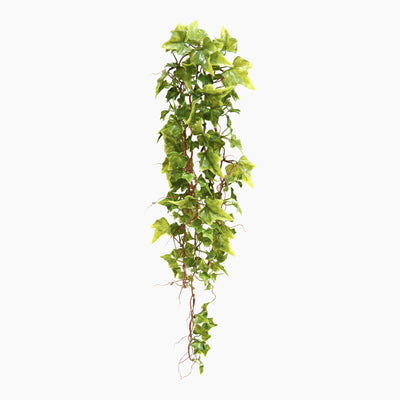 Artificial trailing woodland fern bush