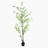 Artificial potted tree with green leaves on a white background