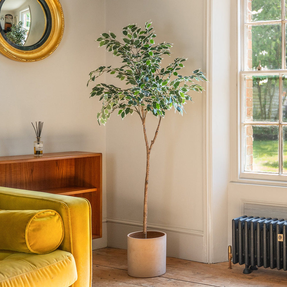 Living room with yellow armchair, potted plant, and radiator by a window