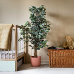 Children's room with a bed, potted plant, and wicker chest with teddy bear.