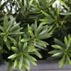 Artificial woodland greens window box foliage leaves