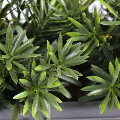 Artificial woodland greens window box foliage leaves